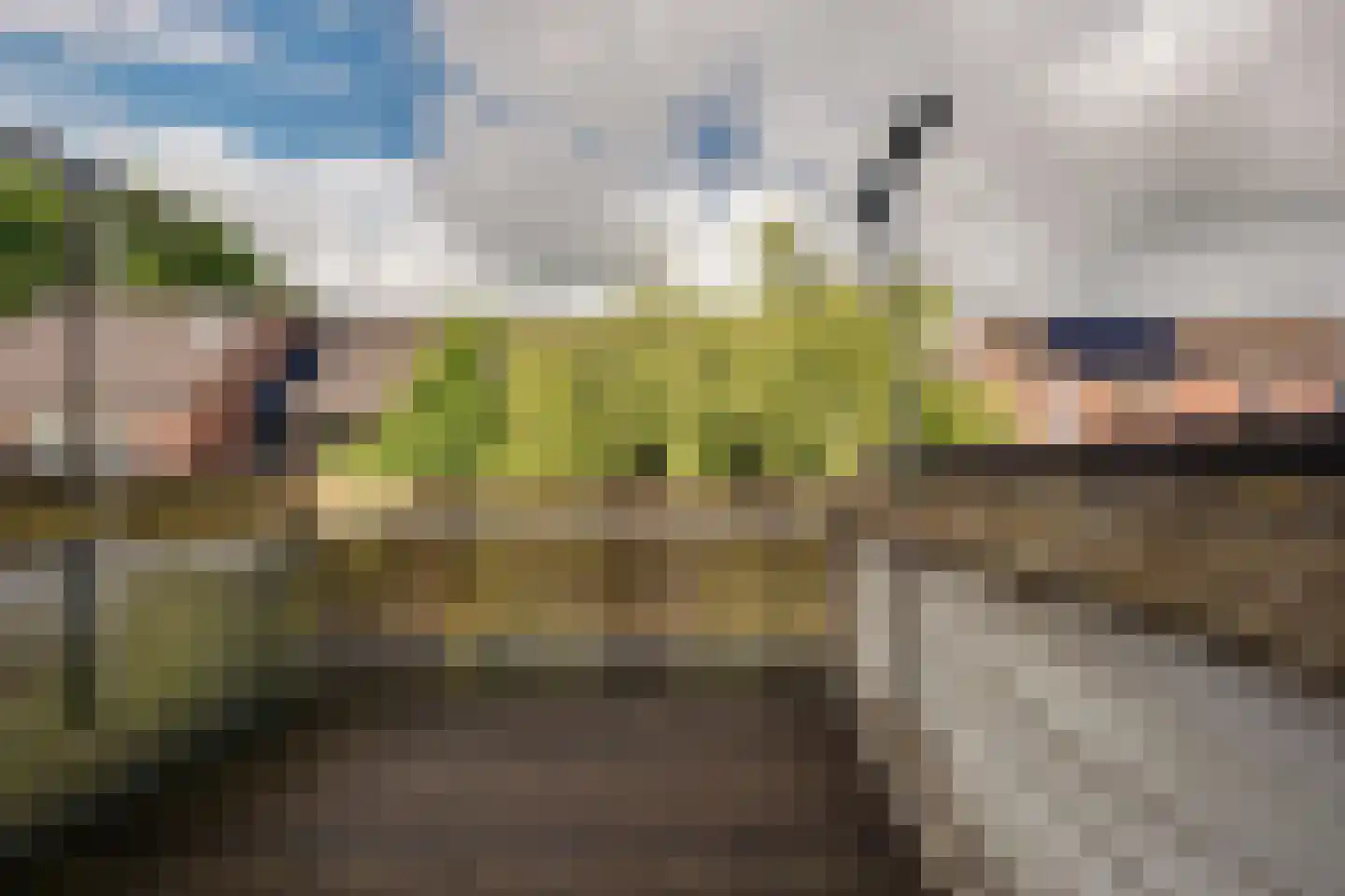 Dobbenwal 64 Assen thumbnail 14