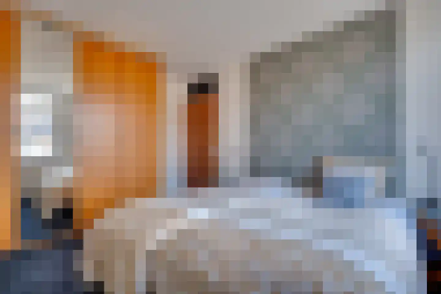 Dobbenwal 64 Assen thumbnail 16