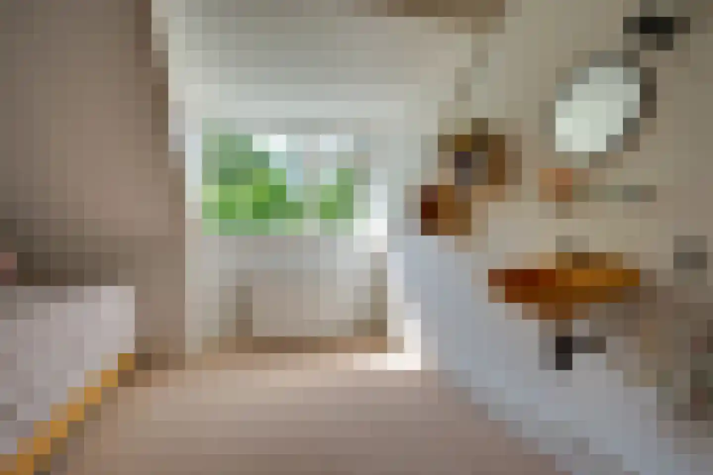 Dobbenwal 64 Assen thumbnail 18