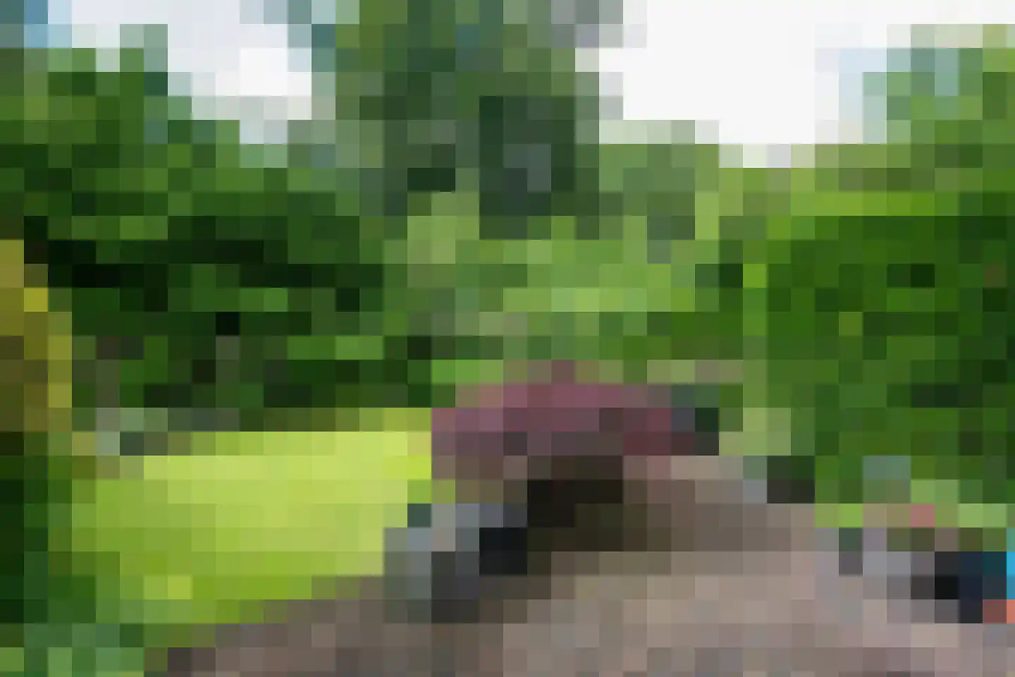 Dobbenwal 64 Assen thumbnail 24