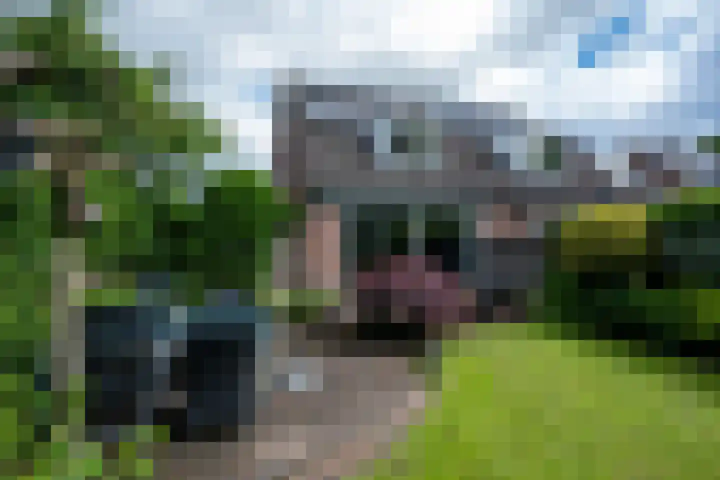 Dobbenwal 64 Assen thumbnail 25