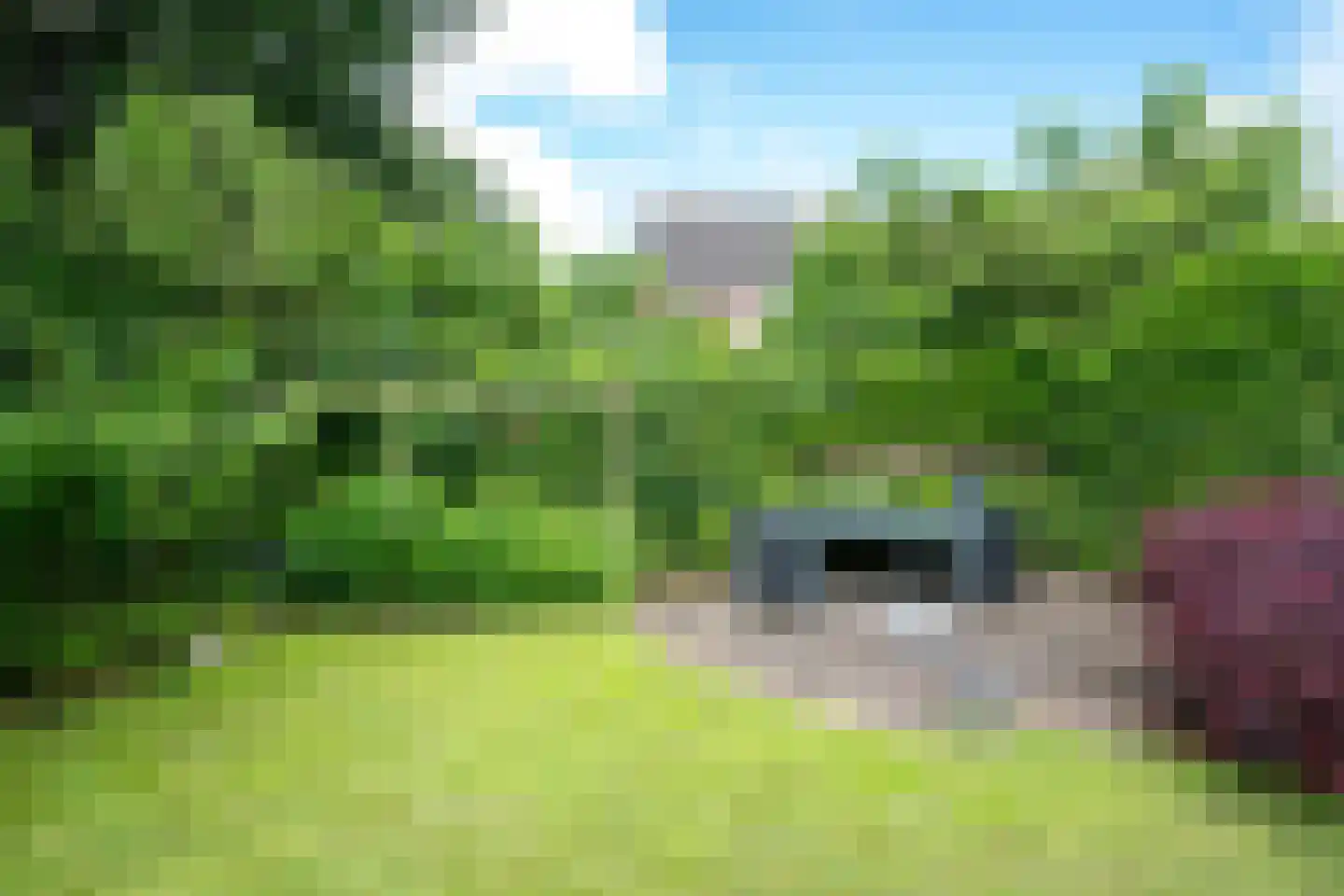 Dobbenwal 64 Assen thumbnail 26