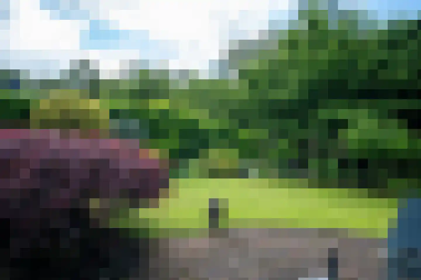Dobbenwal 64 Assen thumbnail 27