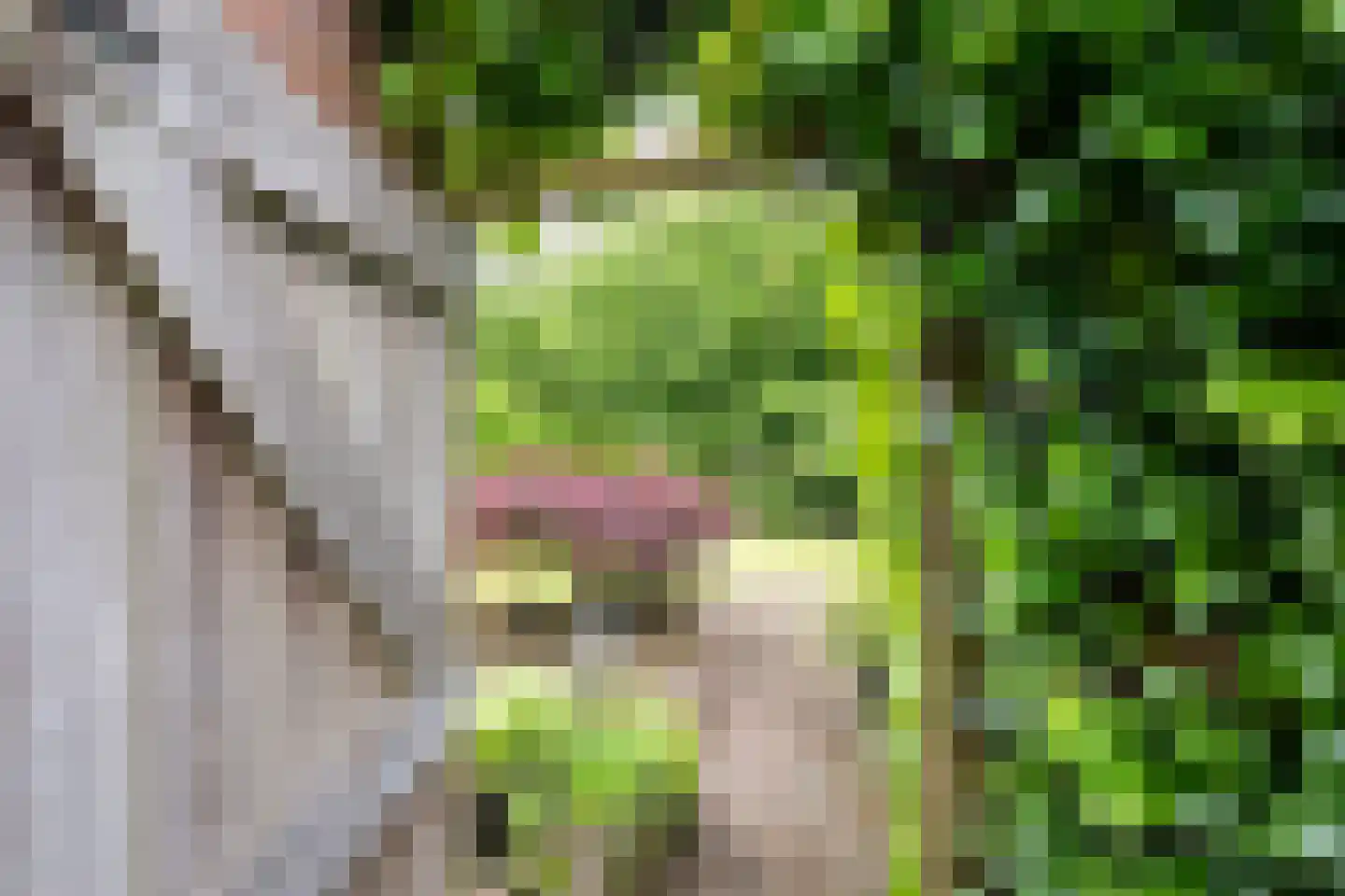 Dobbenwal 64 Assen thumbnail 28