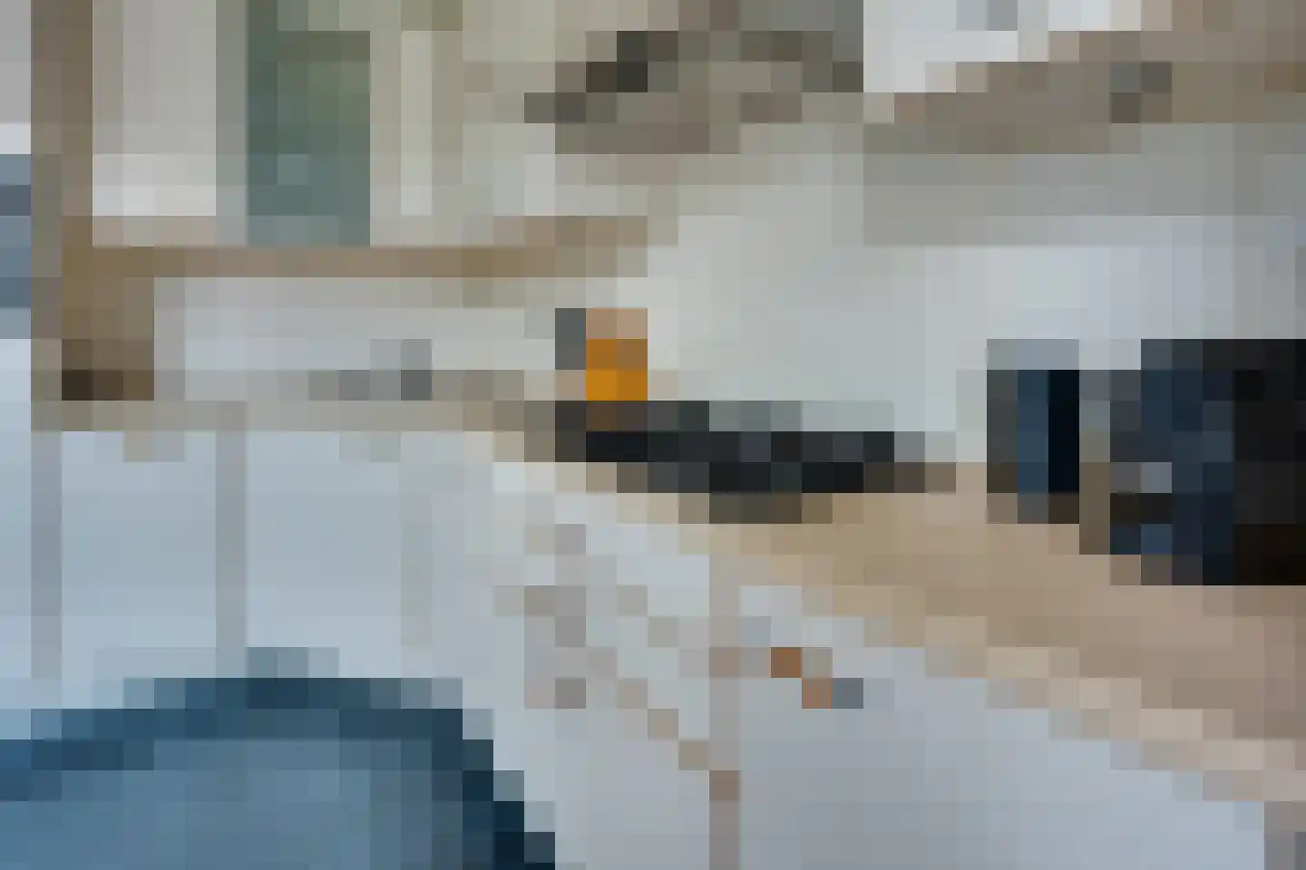 Dobbenwal 64 Assen thumbnail 9