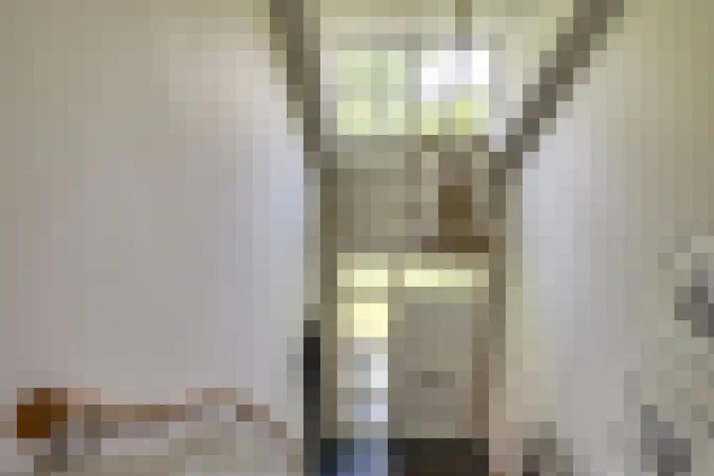 Docfastraat 2 Diessen thumbnail 12