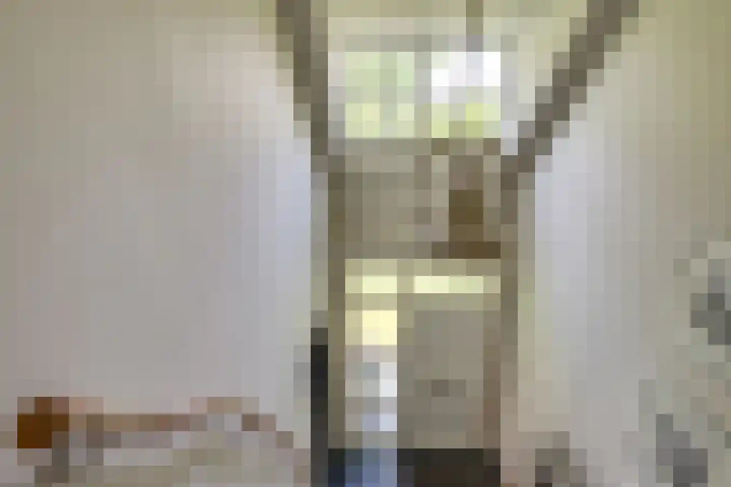 Docfastraat 2 Diessen thumbnail 13