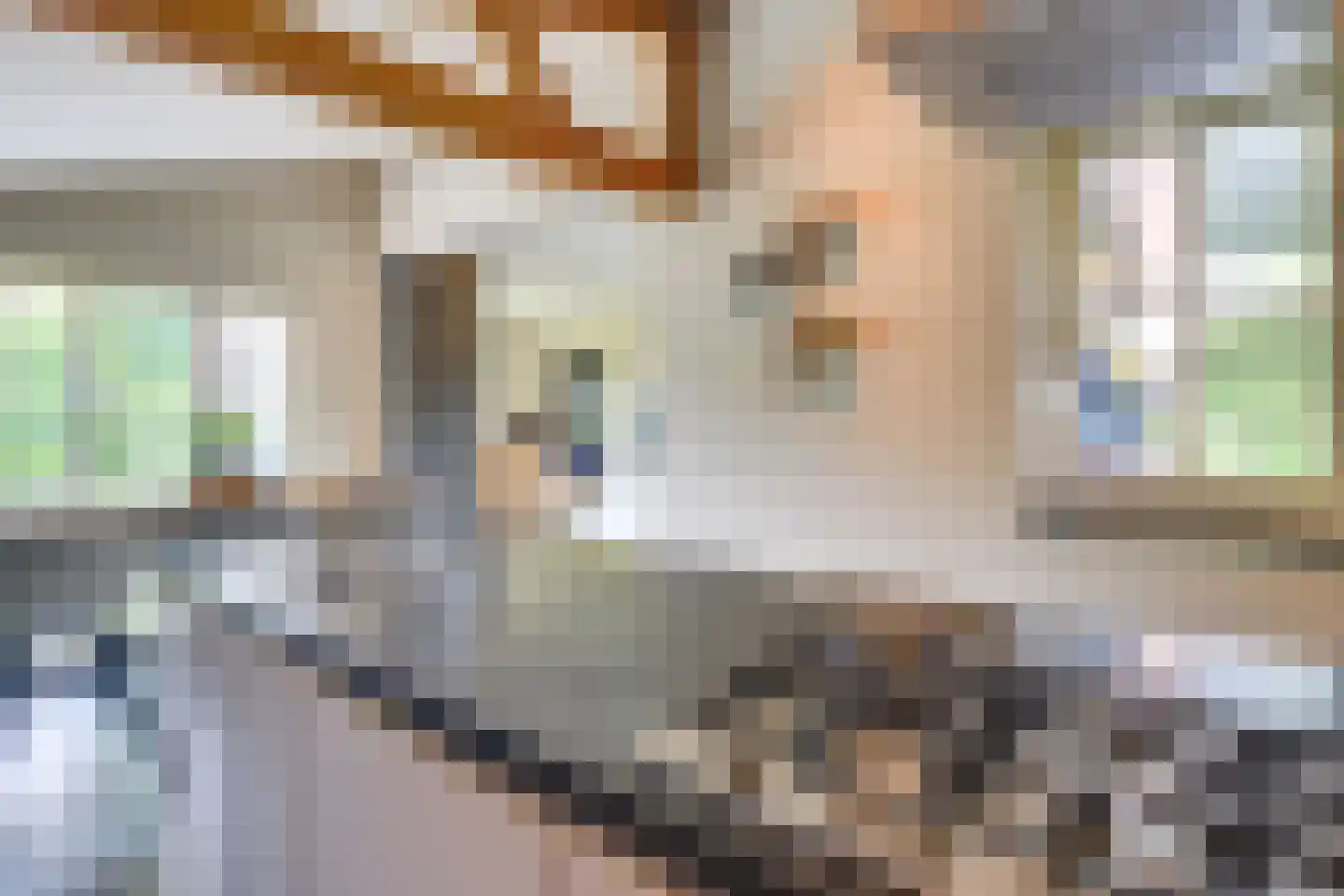 Docfastraat 2 Diessen thumbnail 24