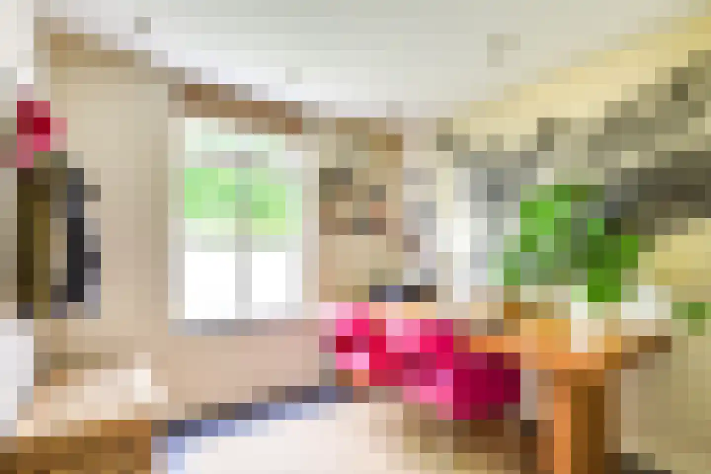 Docfastraat 2 Diessen thumbnail 25