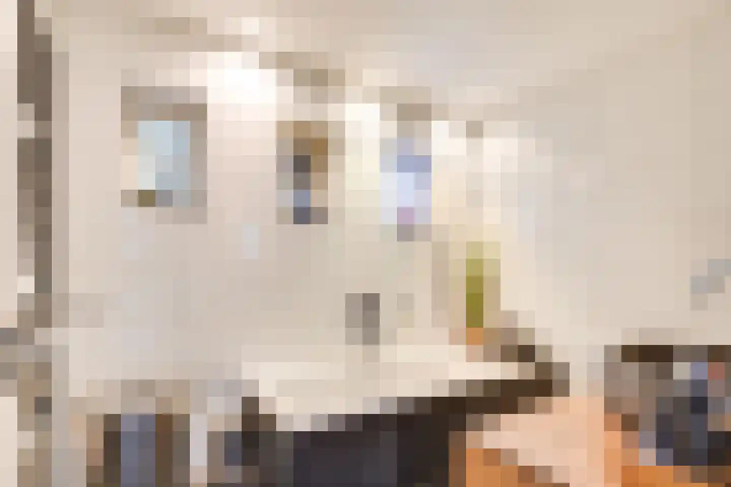 Docfastraat 2 Diessen thumbnail 26