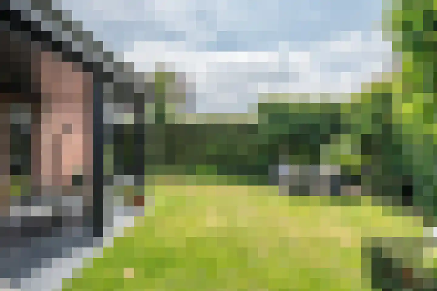 Docfastraat 2 Diessen thumbnail 39