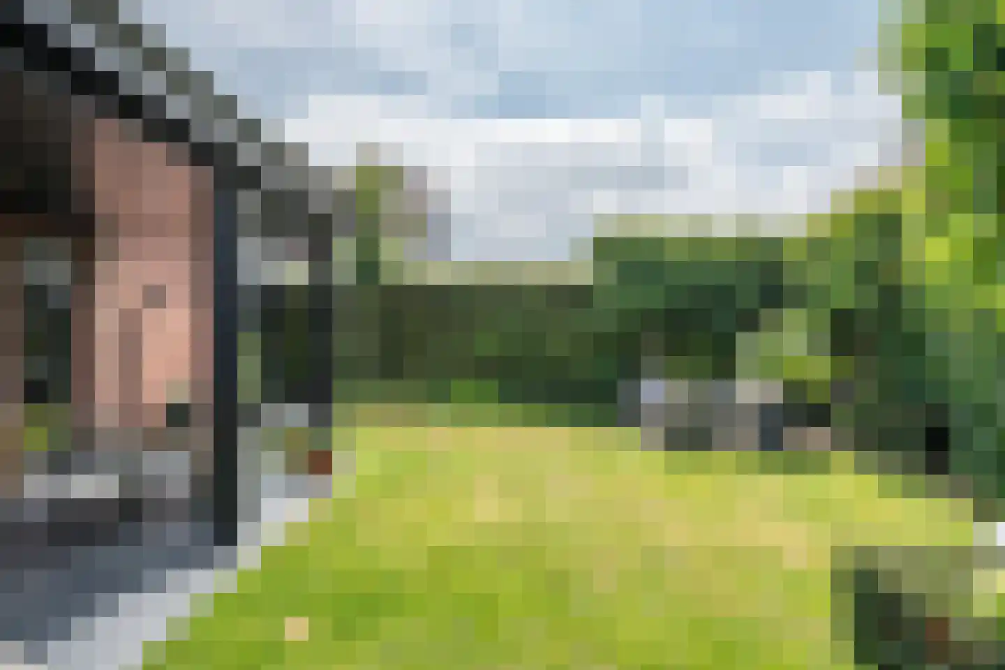 Docfastraat 2 Diessen thumbnail 40