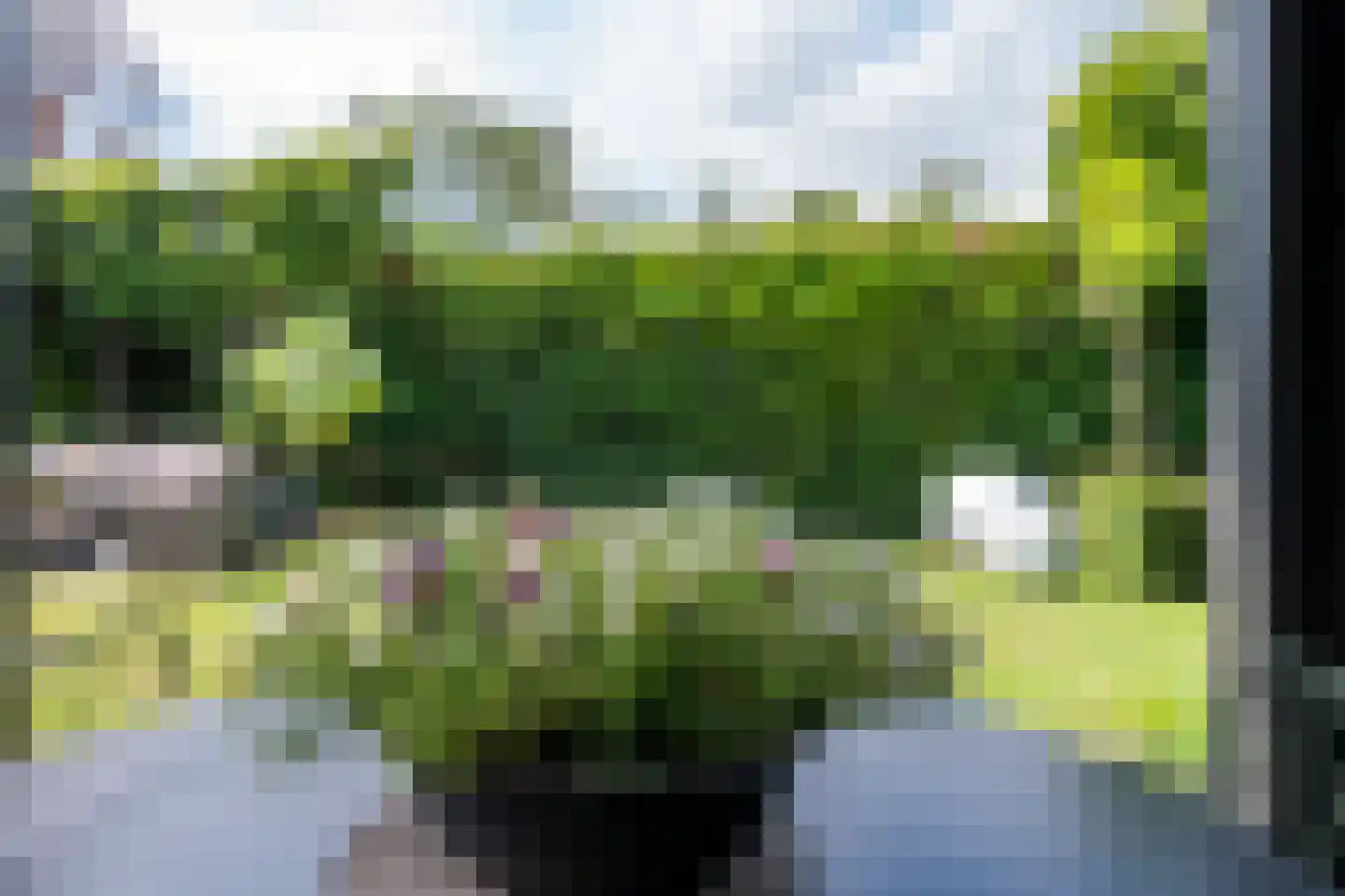 Docfastraat 2 Diessen thumbnail 42