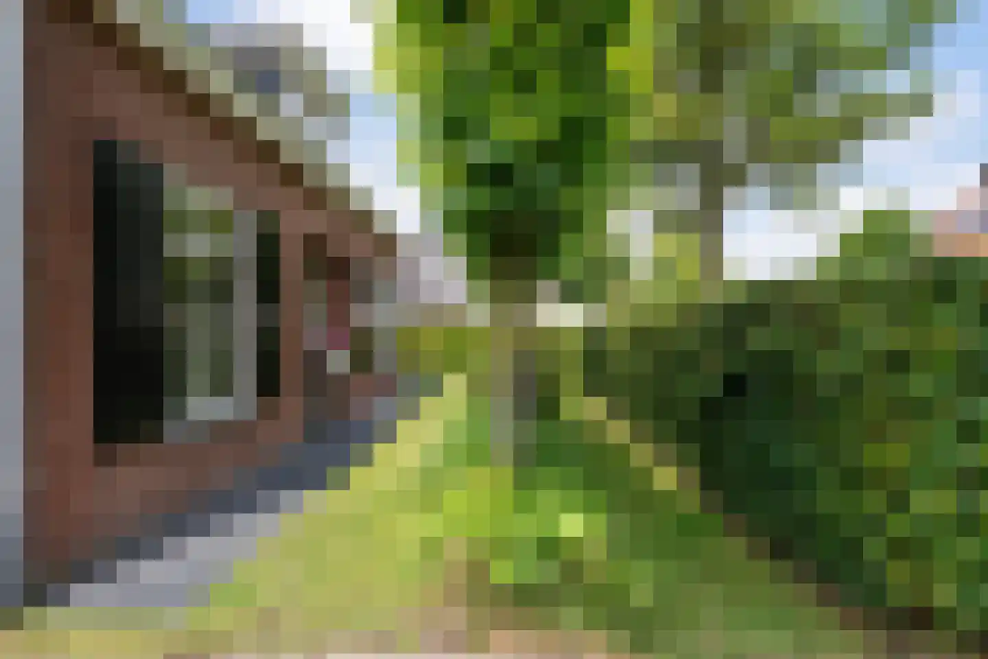 Docfastraat 2 Diessen thumbnail 9