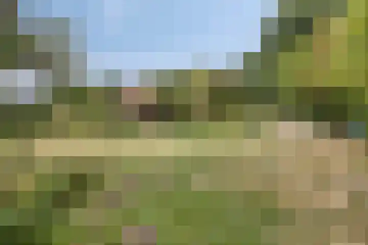 Dochterenseweg 11 Laren thumbnail 10