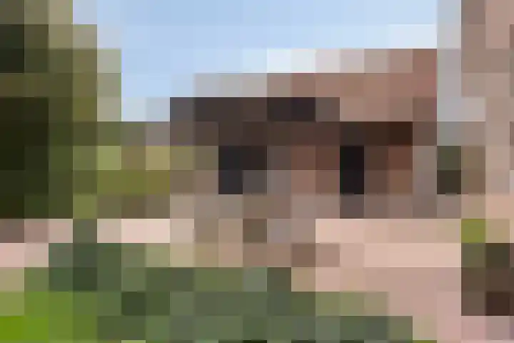 Dochterenseweg 11 Laren thumbnail 17