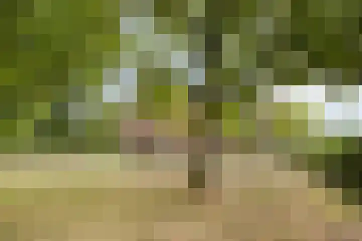 Dochterenseweg 11 Laren thumbnail 55