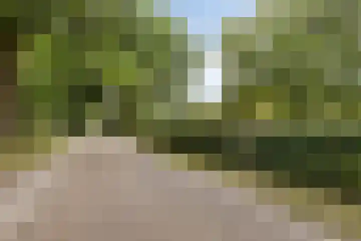 Dochterenseweg 11 Laren thumbnail 65