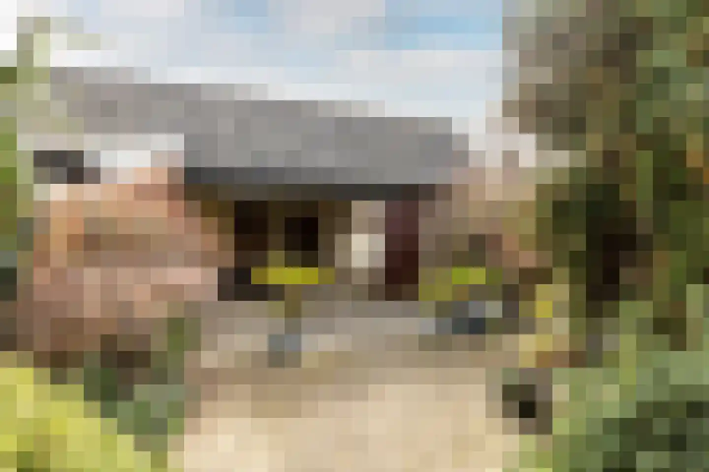 Doctor Abraham Kuyperstraat 76 Moordrecht thumbnail 33