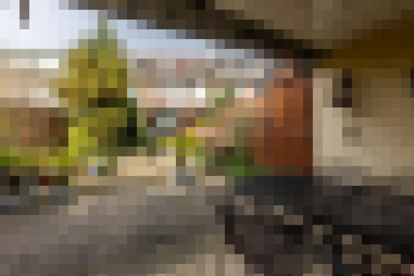 Doctor Abraham Kuyperstraat 76 Moordrecht thumbnail 34