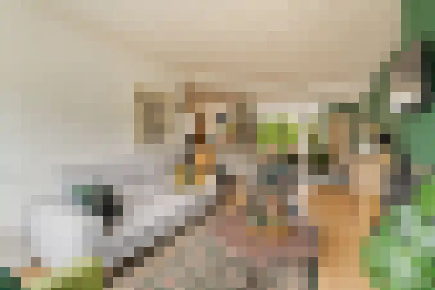 Doctor Abraham Kuyperstraat 78 Moordrecht thumbnail 4