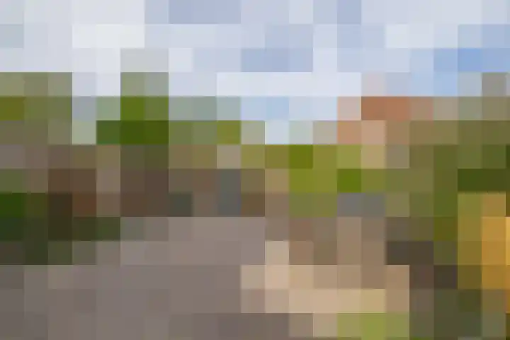 Doctor Ariënslaan 16 Zevenbergen thumbnail 29