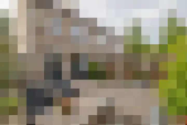 Doctor Ariënslaan 16 Zevenbergen thumbnail 31
