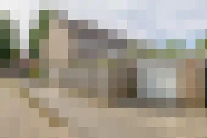 Doctor Ariënslaan 16 Zevenbergen thumbnail 34