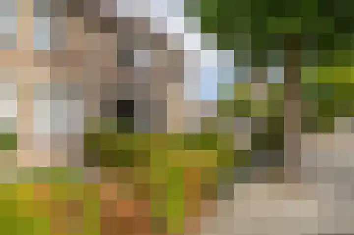 Doctor Ariënslaan 16 Zevenbergen thumbnail 6