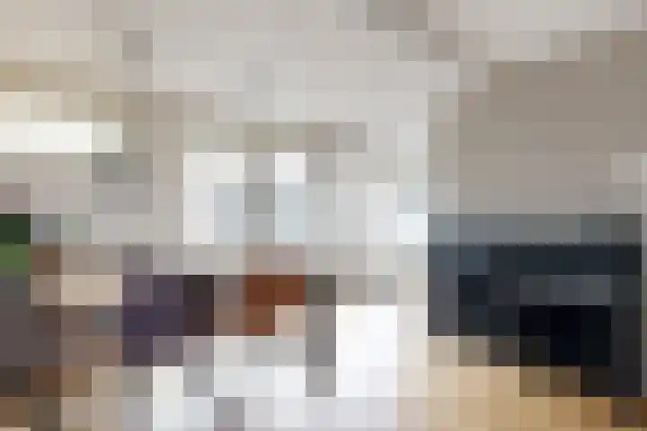 Doctor Ariënslaan 171 Zevenbergen thumbnail 17