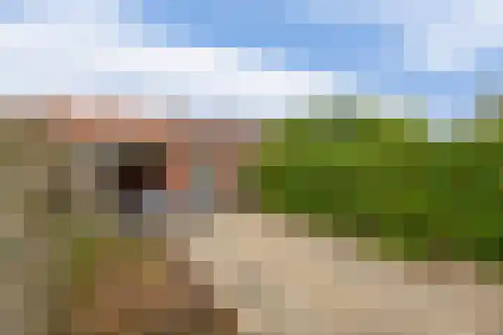Doctor Ariënslaan 98 Zevenbergen thumbnail 28