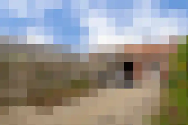 Doctor Ariënslaan 98 Zevenbergen thumbnail 29
