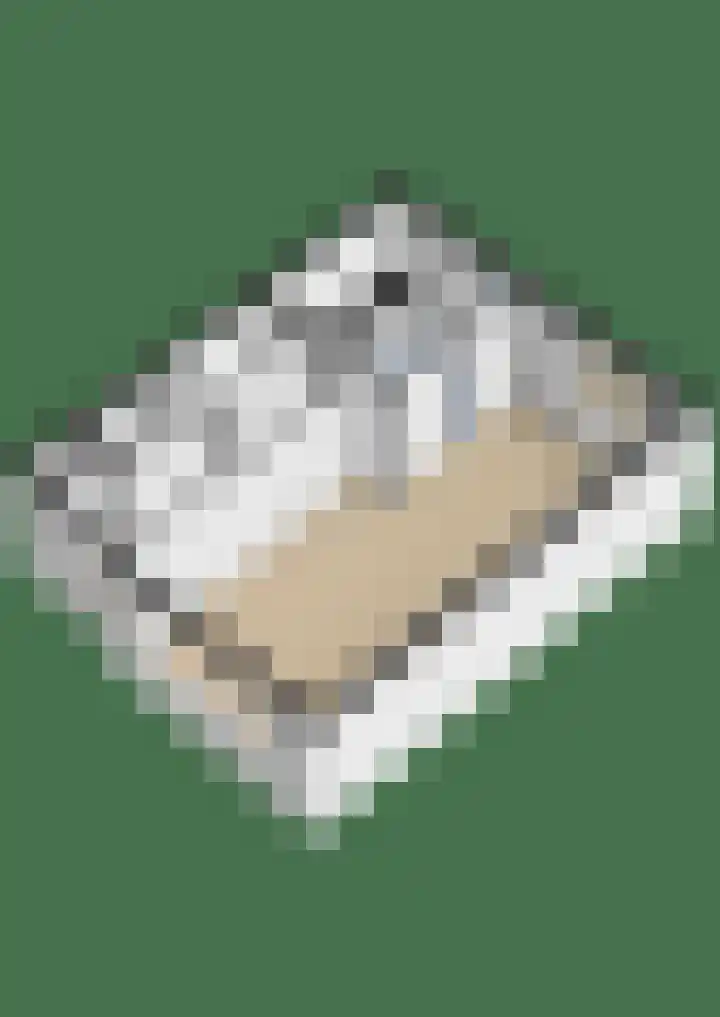 Doctor Ariënslaan 98 Zevenbergen thumbnail 34