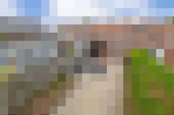 Doctor Ariënslaan 98 Zevenbergen thumbnail 4