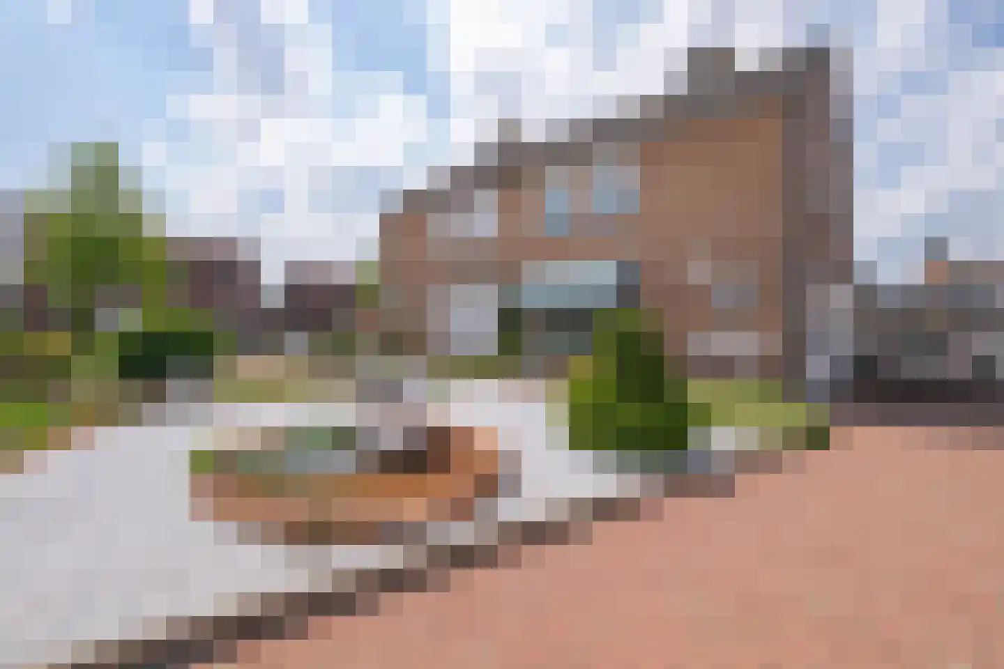 Doctor Ariënsstraat 3 Urmond thumbnail 24