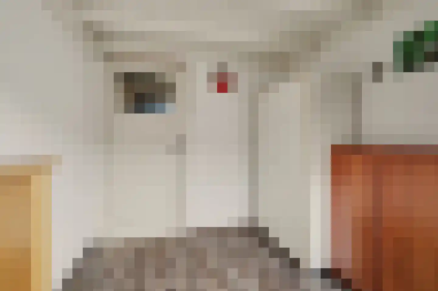 Doctor Ariënsstraat 5 Goirle thumbnail 22