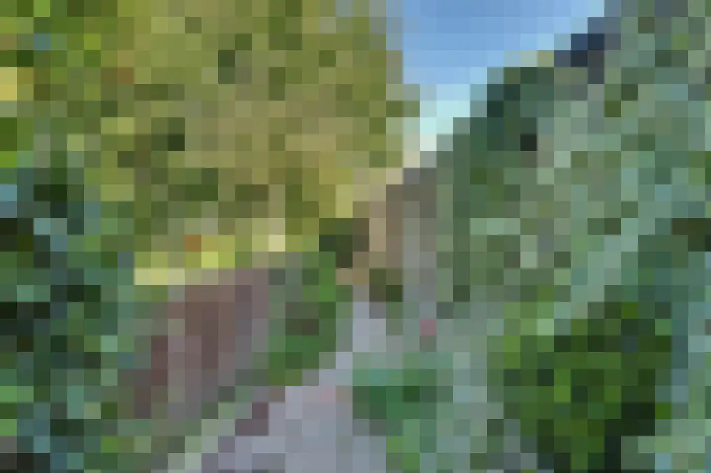 Doctor Ariënsstraat 5 Goirle thumbnail 30