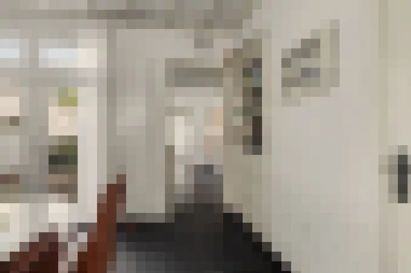 Doctor Ariënsstraat 5 Goirle thumbnail 8