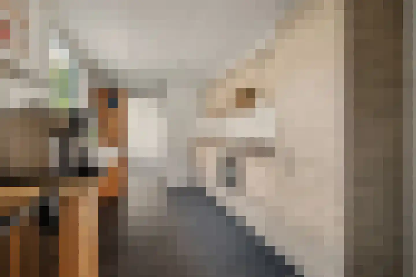 Doctor Ariënsstraat 5 Goirle thumbnail 9
