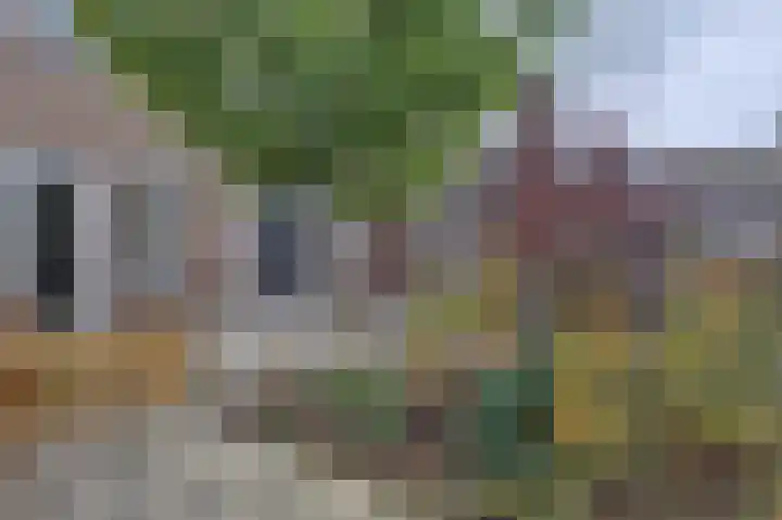 Doctor Beckersstraat 43 Beek thumbnail 4
