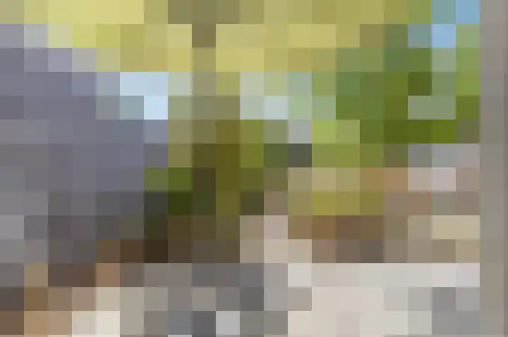 Doctor Beckersstraat 43 Beek thumbnail 7