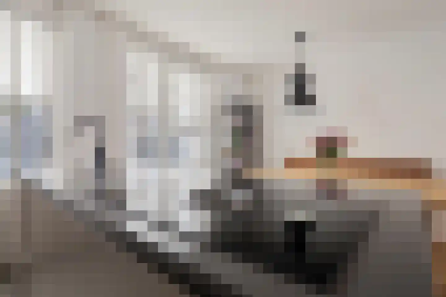 Doctor Cuypersstraat 48 Venlo thumbnail 20
