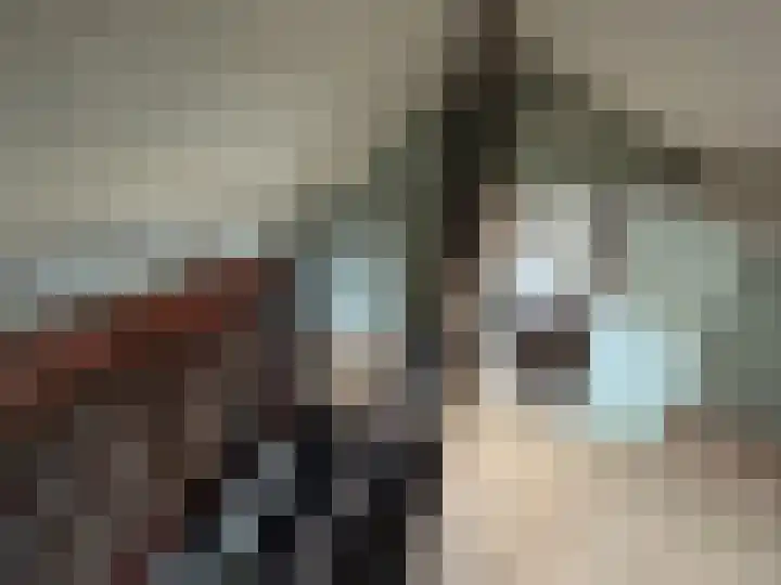 Doctor Dreesstraat 34 Silvolde thumbnail 16
