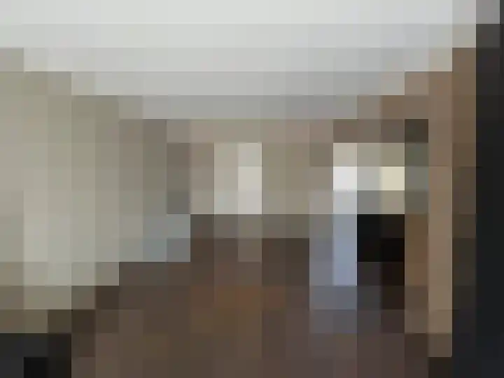 Doctor Dreesstraat 34 Silvolde foto 3