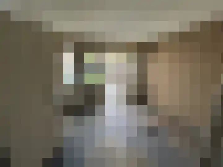 Doctor Dreesstraat 34 Silvolde thumbnail 8