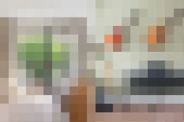 doctor Hekmanstraat 20 Rotterdam thumbnail 18