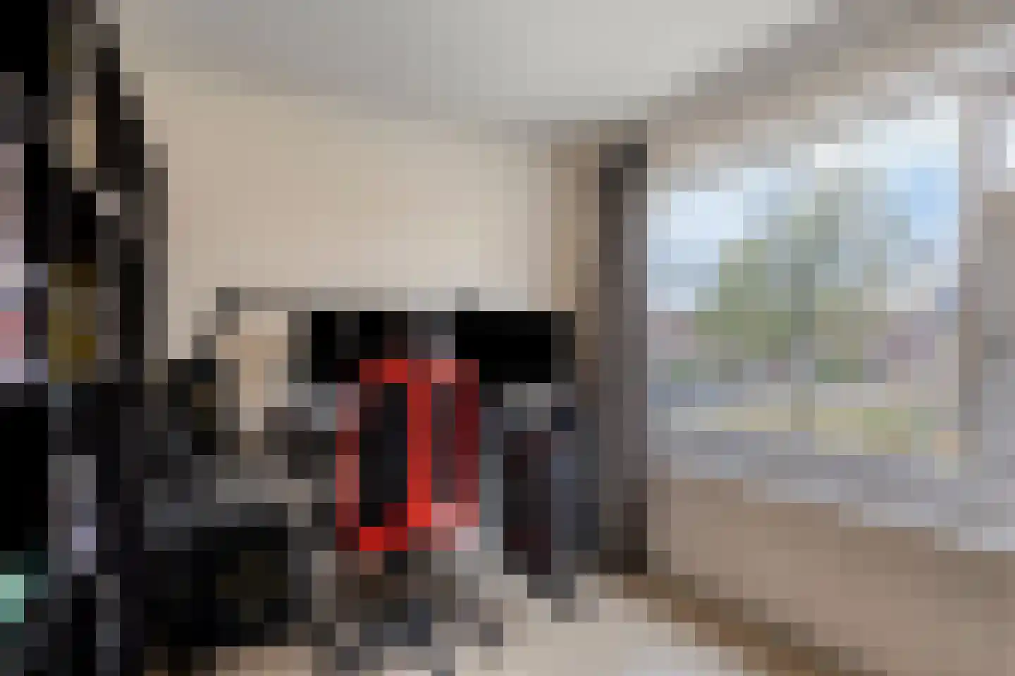 Doctor Hoebenstraat 19 Oss thumbnail 19