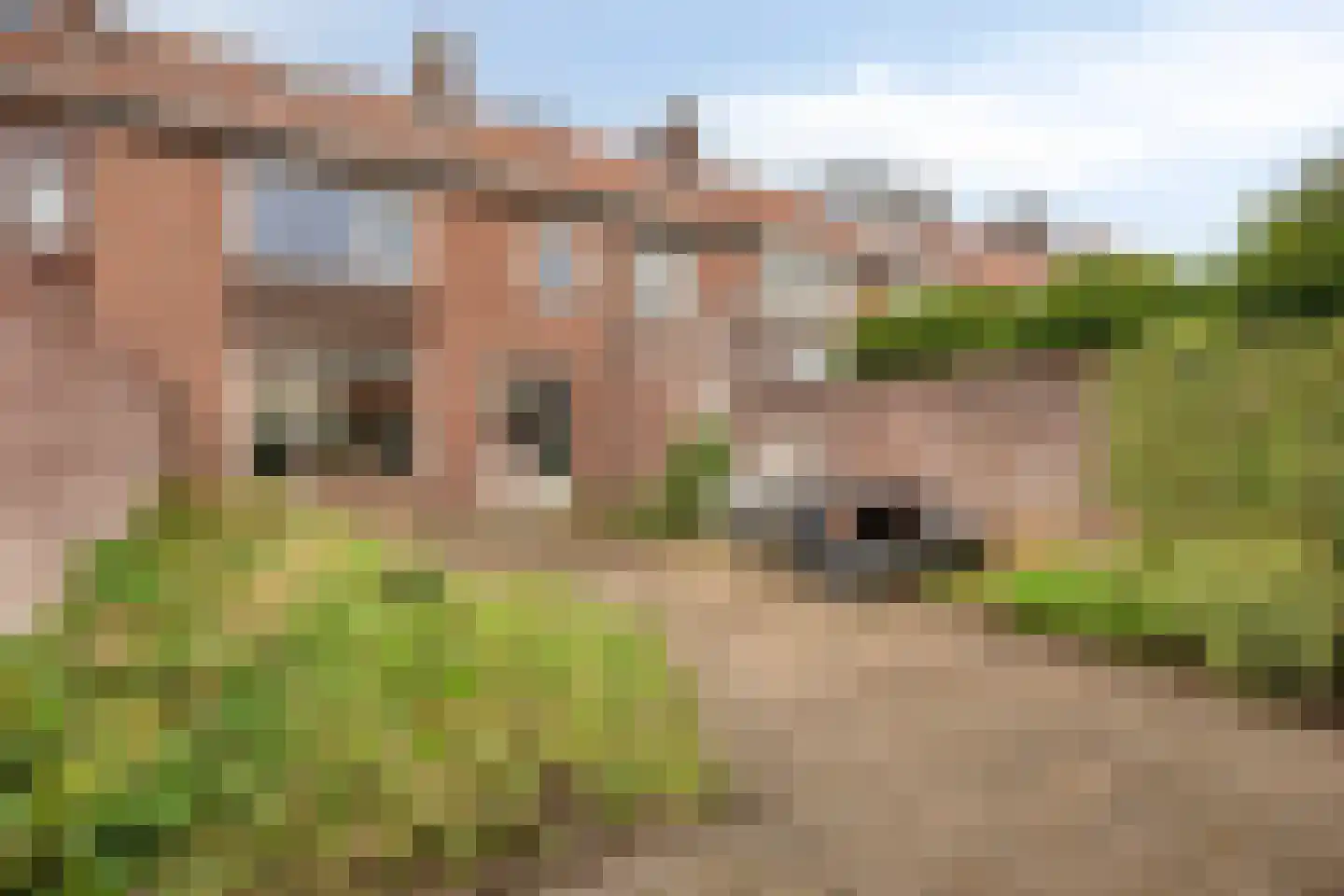 Doctor Hoebenstraat 19 Oss thumbnail 24