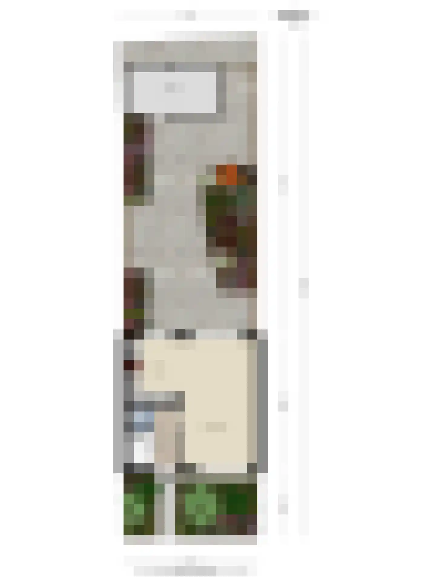 Doctor Hoebenstraat 19 Oss thumbnail 29