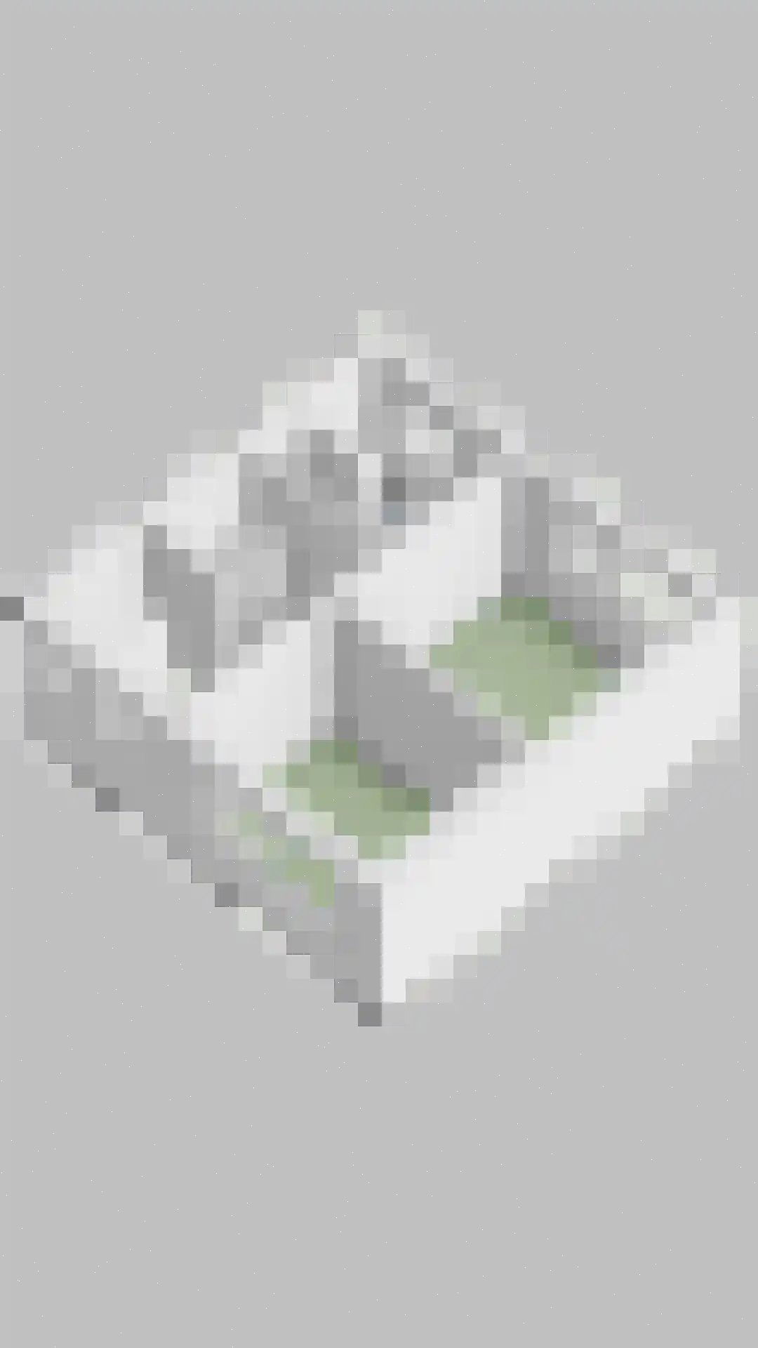 Doctor Hoebenstraat 19 Oss thumbnail 34